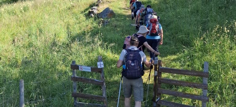 Sternpilgern zur PilgerMesse in der Hauptkirche St. Katharinen | verschiedene Startzeiten