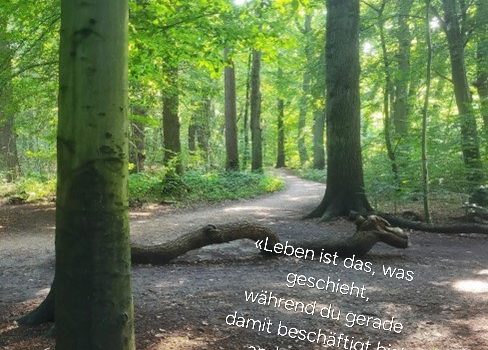 Pilgerweg | IM HIER UND JETZT  Pilgern im Niendorfer Gehege und  der Eidelstedter Feldmark