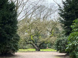 Winterpilgern 2025/2026 | gemeinsam begleitet Pilgern im Stadtpark @ Kreuzung Borgweg/Südring
