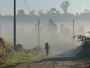 Pilgern auf dem Portugiesischen Jakobsweg | (17.03. bis 31.03.2026) @ Porto