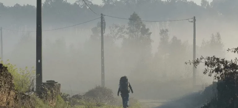 Pilgern auf dem Portugiesischen Jakobsweg | (17.03. bis 31.03.2026)