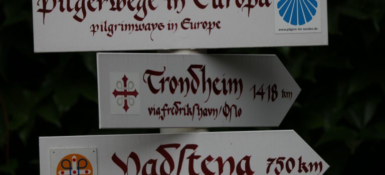 Halbjahresprogramm 2026