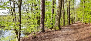 Pilgern für Trauernde an der Elbe und in der Region Lüneburg | mehrtägig @ Landschaft zwischen Lüneburg und Lauenburg