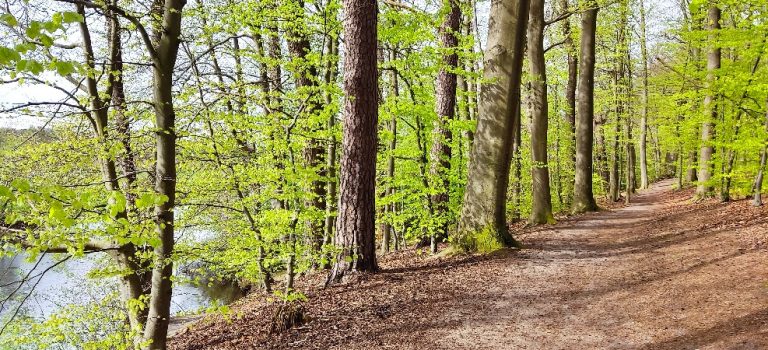 Pilgern für Trauernde an der Elbe und in der Region Lüneburg | mehrtägig