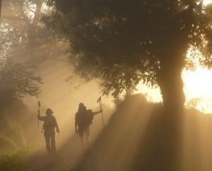 Pilger-Symposium "Glaube to go" | Pilgern zwischen Kommerzialisierung und heiligen Erfahrungen @ Hauptkirche St. Trinitatis