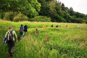 Pilgern für Frauen in der Umgebung von Lübeck @ Von Pansdorf nach Bad Schwartau