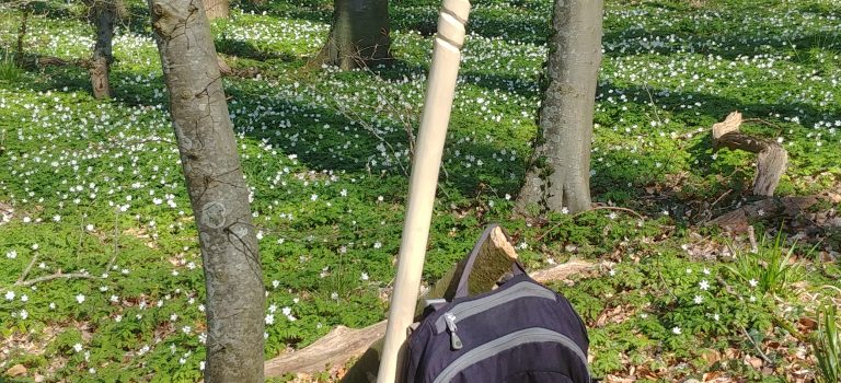 Jahreszeitenpilgern Frühling 2026 „Malente, Dieksee und Dodauer Forst“