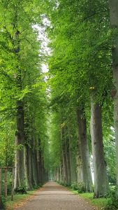 Pilgern durch den Schlossgarten Eutin @ Schlosspark Eutin
