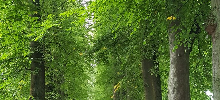 Pilgern durch den Schlossgarten Eutin